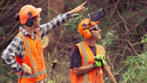 Agricontracts Dean and Jaden Treework